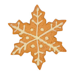 Tasty homemade Christmas cookie