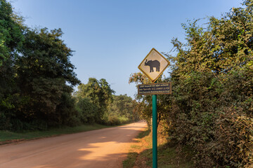 elephant's sign on the sigiriya fortess entrance