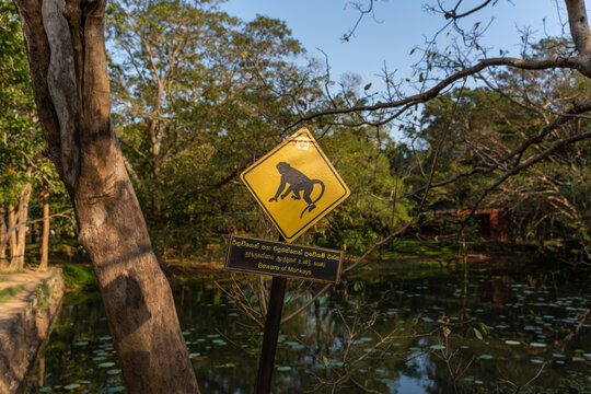 monkey's sign on the sigiriya fortess entrance
