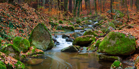 River Sembera, Central Bohemia. The river Sembera sources near to community of Jevany, Central...