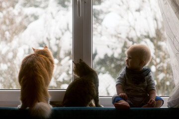 Baby and two cats sitting on the window sill and watching first snow