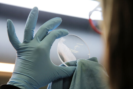 Lens manufacturing in the modern laboratory.