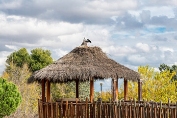 Fototapeta na wymiar Stork on a thatched pergola with trees and a cloudy sky behind