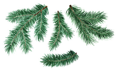 Set of spruce, pine, fir branches. Christmas and New Year illustration of coniferous twigs. Isolated on white background. Drawn by hand.