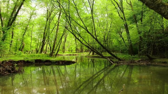 Mountains Rivers And Stream In Georgia Forest Near Etowah River