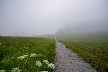 A path in the fog across a meadow on a summer morning