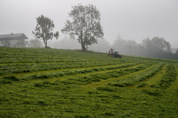 A tractor on a foggy meadow