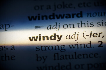 windy