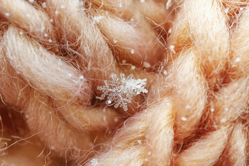 Obraz premium Snowflakes close-up. Macro photo. The concept of winter, cold, beauty of nature. Copy space...