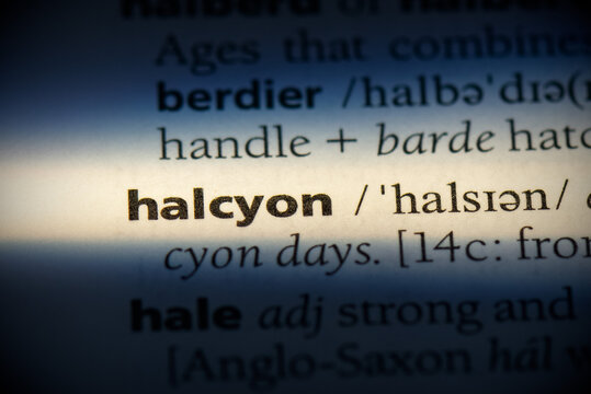 Halcyon