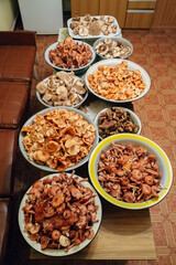 Mushroom harvest. Many mushrooms in basins. Mushroom preparation