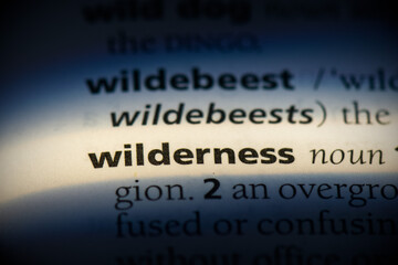 wilderness