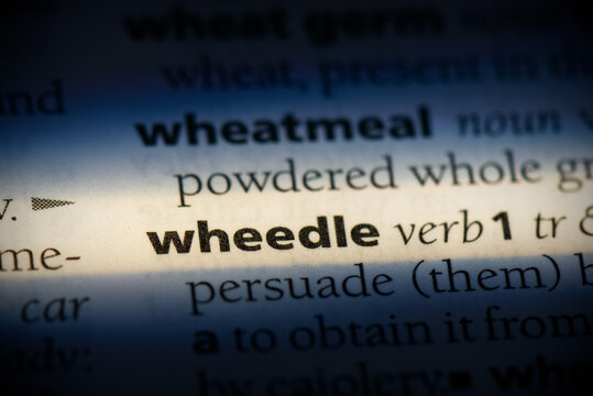 Wheedle Drawing Example รูปภาพWheedle – เลือกดูภาพถ่ายสต็อก เวกเตอร์ และวิดีโอ10,572 | Adobe Stock