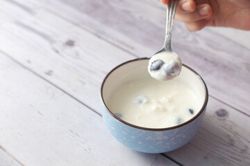 close up of fresh yogurt with blue berry in a bowl 