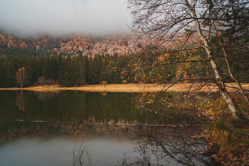 The volcanic lake Sfanta Ana (Saint Anna) in Romania surrounded by a forest of pines and deciduous trees that is reflected on the surface of the water during a cold and foggy autumn day.