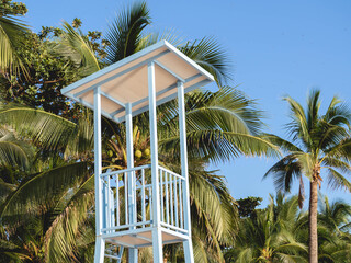 Coastal Observation Tower and Coconut Tree