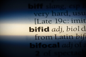 bifid