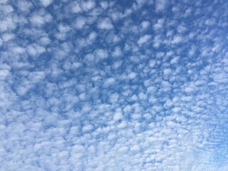 Obraz premium blue sky background