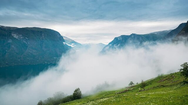 Sogn And Fjordane Fjord, Norway. Amazing Fjord Sogn Og Fjordane. In Fog Clouds. Summer Scenic View Of Famous Natural Attraction Landmark And Popular Destination In Summer 4K. Misty Weather