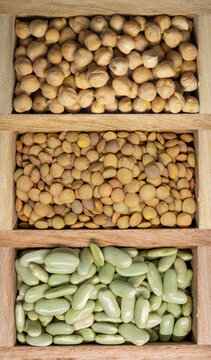 Caja de garbanzos, lentejas y verdinas