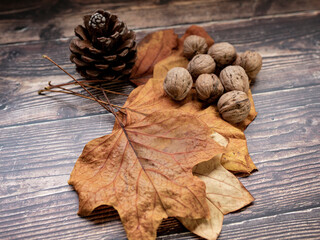 wooden table, leaves, pine nuts, walnuts