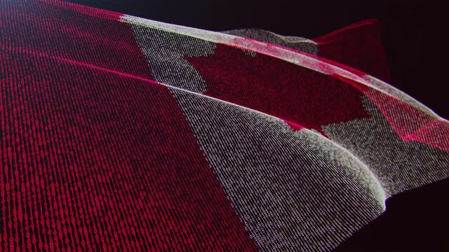 3d render. Canada digital flag with binary code texture flies in the wind. Seamless loop.