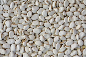 White beans texture - bean seeds top view and closeup