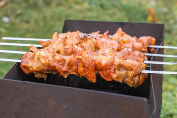 Charcoal-grilled Pork Kebab Cooked on Skewers in Nature