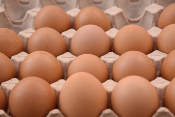 Set of eggs uniform, pattern, texture or background in egg support.