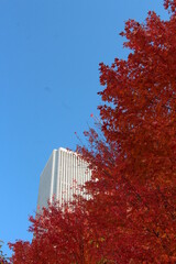autumn in the city - 392240685
