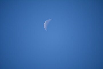 朝の月