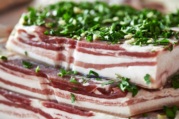 National Ukrainian food - salted pork lard with garlic and herbs, macro photo