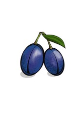 plums isolated on white background