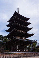 Fototapeta premium 日本 奈良県奈良市、興福寺の五重塔