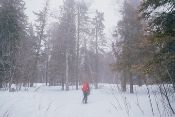 Hiking in the mountains through a snowy forest