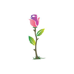 sprig of flower icon natural colorful design vector