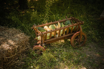 Fresh vegetables, Autumn harvest in old wooden trolley on green grass next to the hay. Side view. Toned image. Nature background.