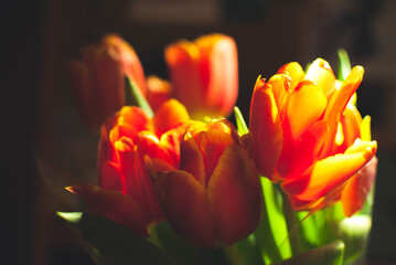 Naklejka premium Flowers