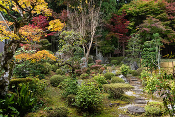 紅葉の庭