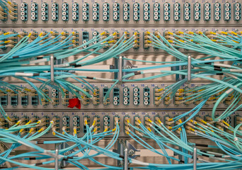 Netzwerk Switch und Netzwerkkabel Lichwellenleiter LWL in einem Rechenzentrum