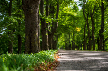 Beautiful roads and trails in nature.