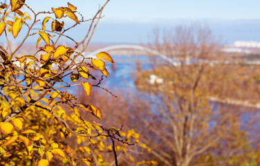  Landscape with a view of the Harbour Bridge across Dnipro in Kyiv, Ukraine