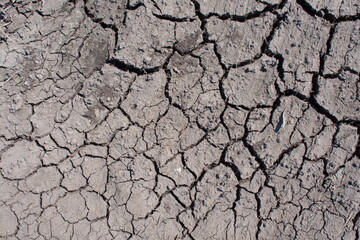 Cracked dry soil texture background global warming.