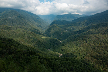 river surrounded by forest mountains