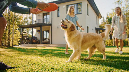 Smiling Beautiful Family of Four Play Catch flying disc with Happy Golden Retriever Dog on the...