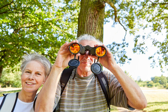 Senioren mit Fernglas beobachten V&ouml;gel