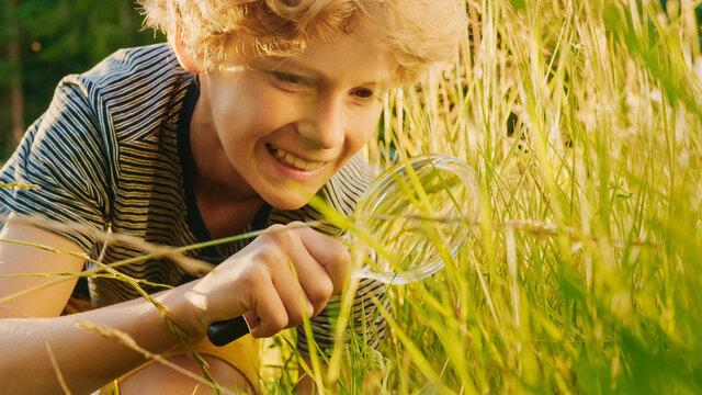 Handsome Young Naturalist Scientist Explores Plant Life And Insect Life With Magnifying Glass. Smart Curious Boy Botanist And Entomologist Explores Nature. Close-up Portrait Of Child With Curly Hair