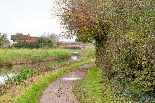 Bridgwater Images Browse 194 Stock Photos, Vectors, and Video Adobe