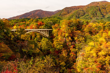 紅葉の鳴子峡