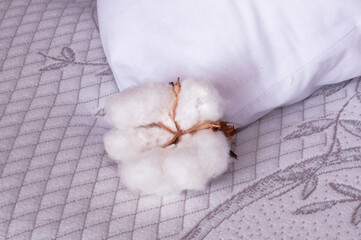 bed and pillow made of organic cotton plant